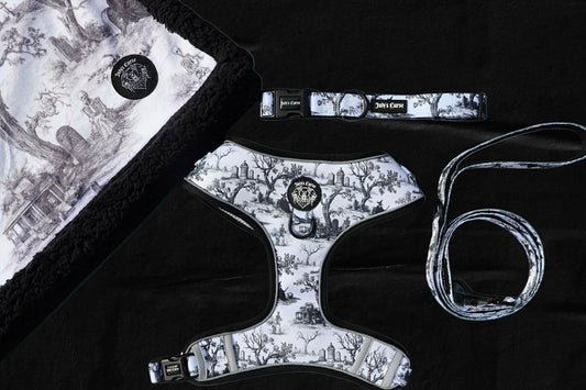 Toile of Shadows Bundle