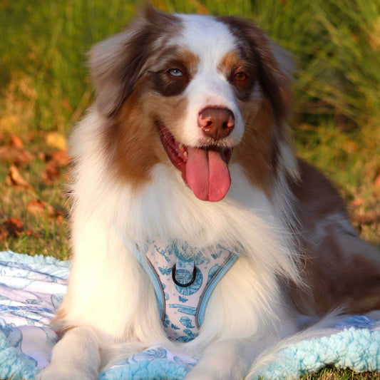 Emily's Embrace Bundle