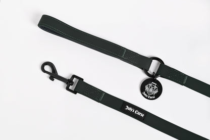 Waterproof Dog Leash - Envy Green