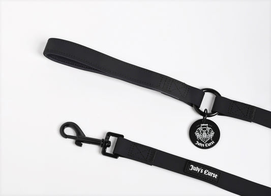 Waterproof Dog Leash - Sloth Blue