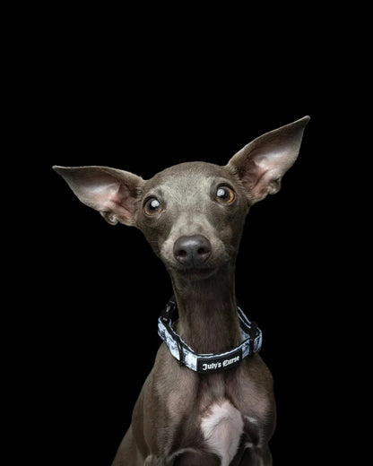 Toile of Shadows Collar