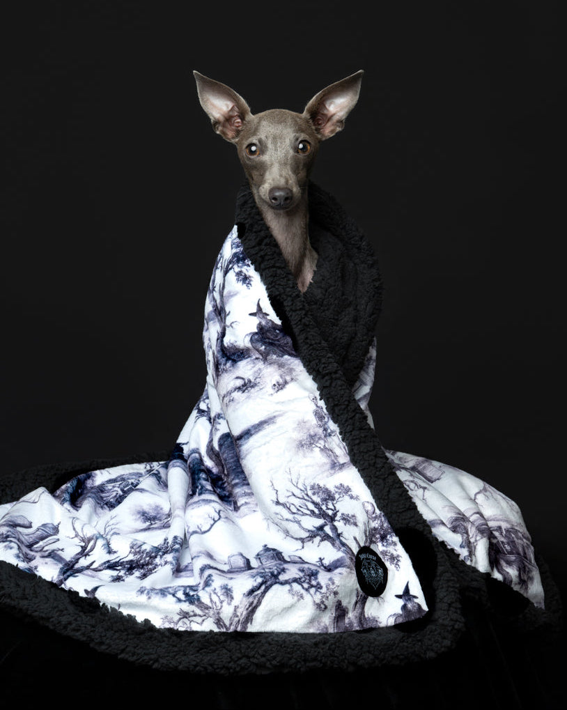 Toile of Shadows Bundle