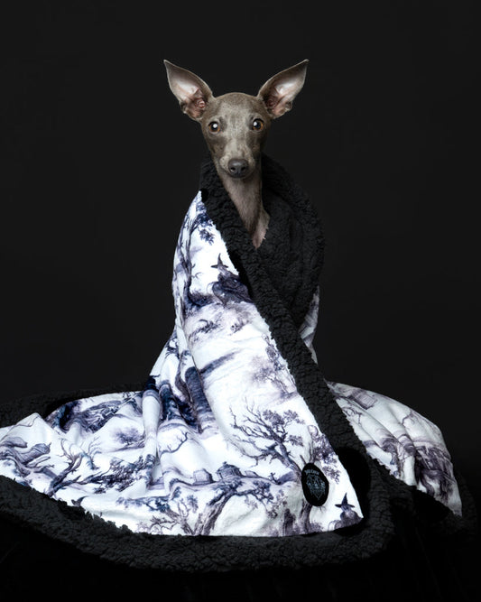 Toile of Shadows Bundle