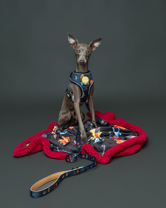 The Other Mother Bundle