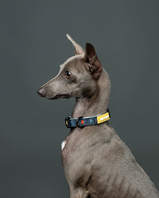 The Other Mother Collar