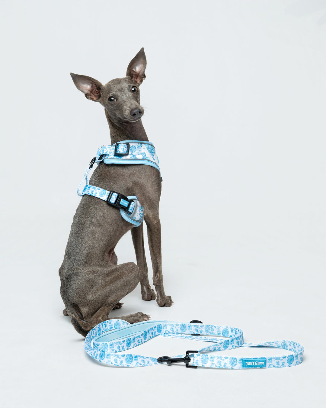 Emily's Embrace Bundle