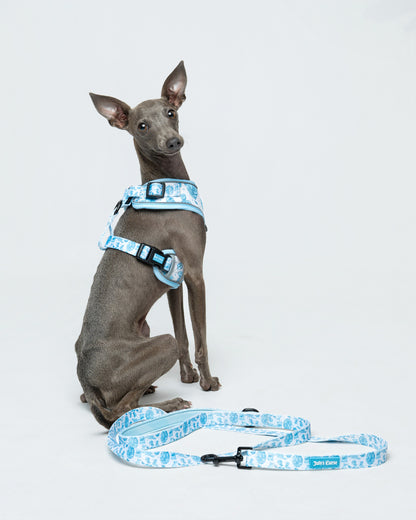 Emily's Embrace Bundle