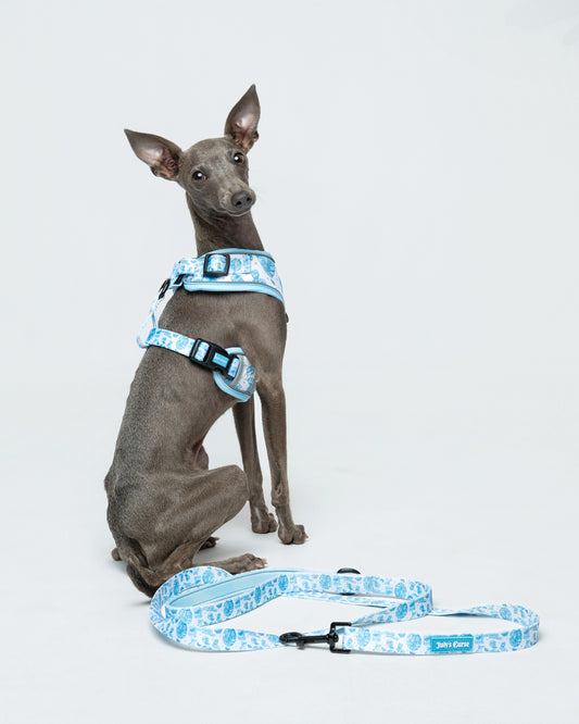 Emily's Embrace Bundle