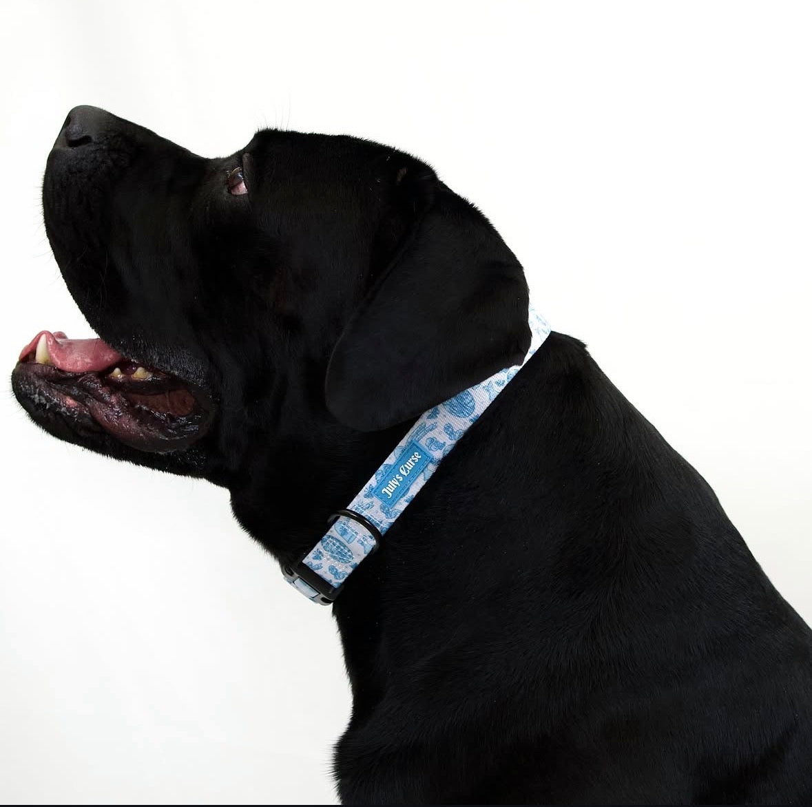 Emily's Embrace Collar