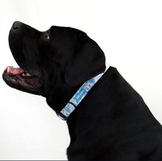 Emily's Embrace Collar