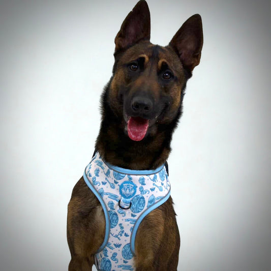 Emily's Embrace Harness