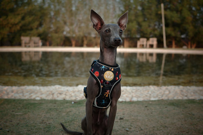 The Other Mother Harness